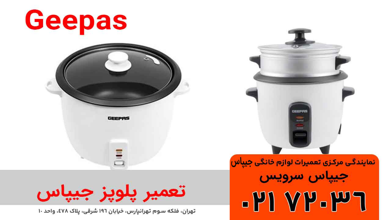 تعمیر پلوپز جیپاس